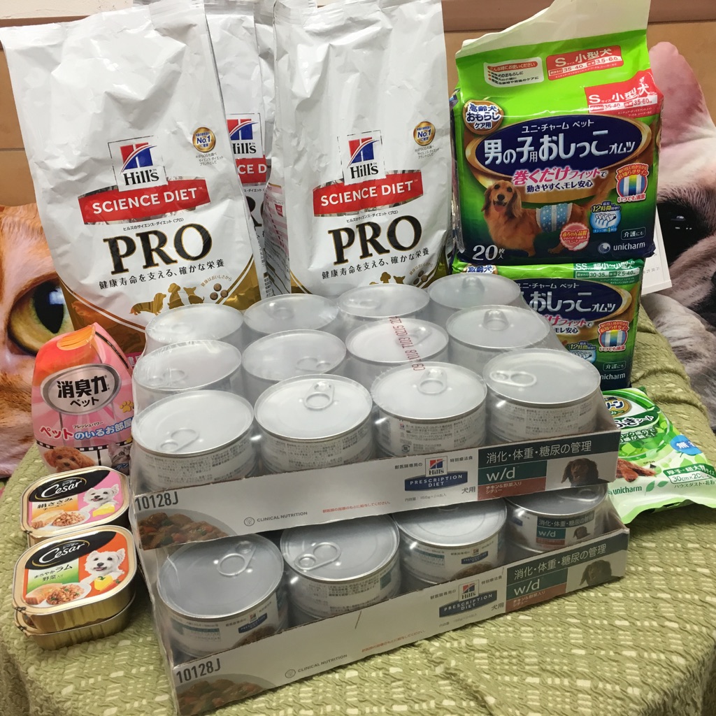 たくさんの支援物資をありがとうございます💑トイプードルのせろり君💕の里親様大募集中です😃